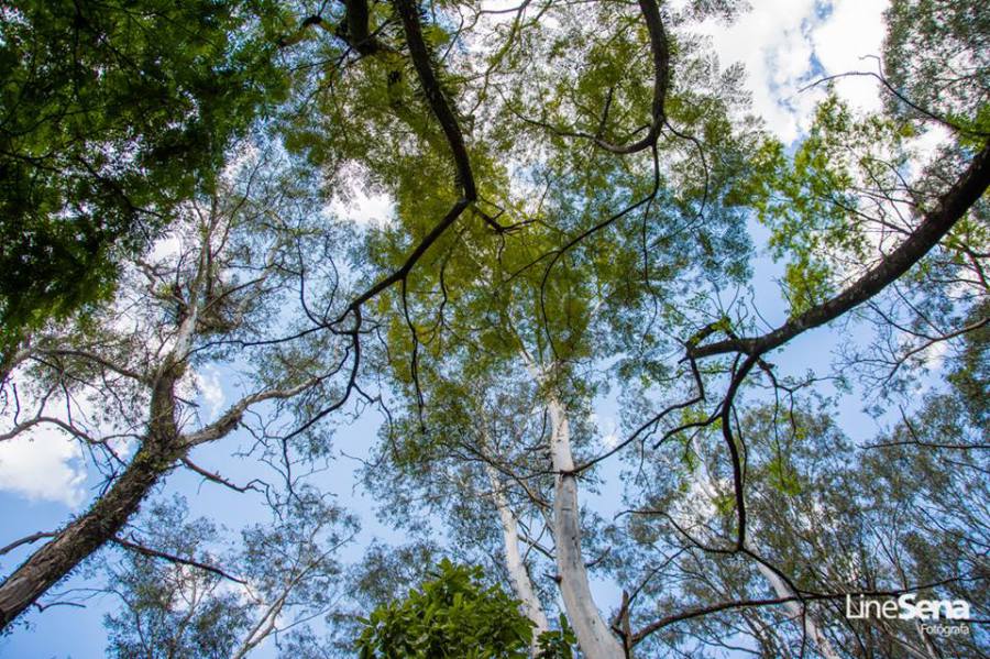 Como lidar com os desafios do puerpério